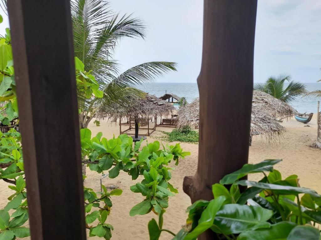 Golden Beach Chalets Baie d'Arugam Extérieur photo